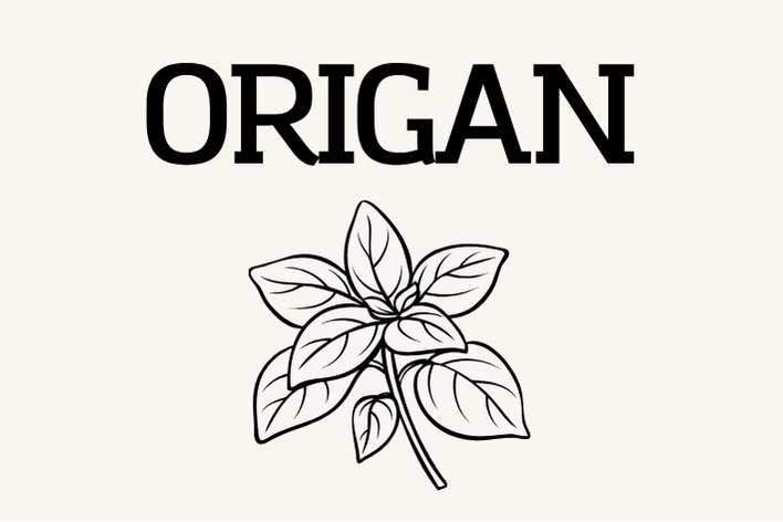 Origan