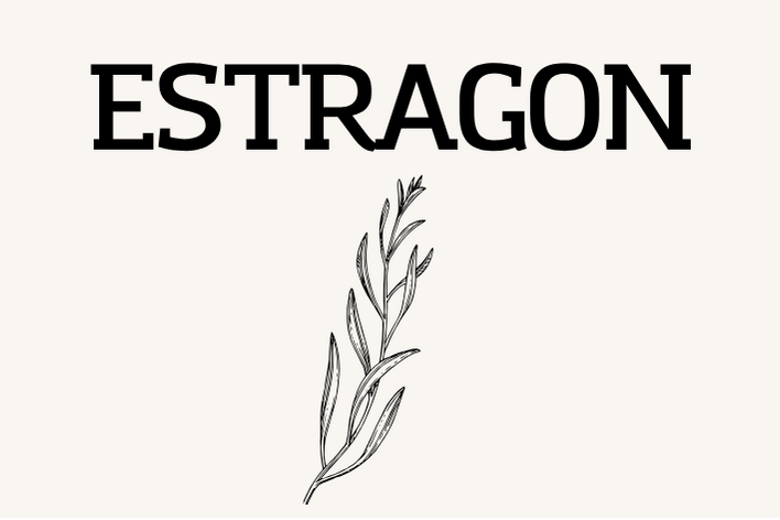Estragon