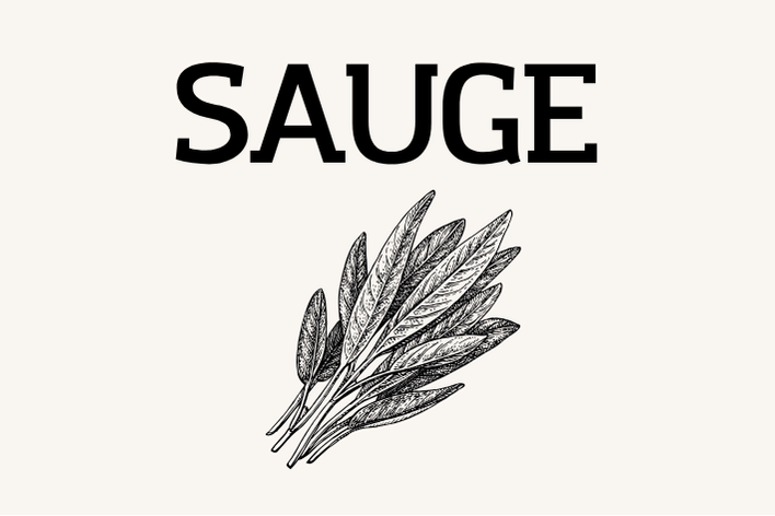 Sauge