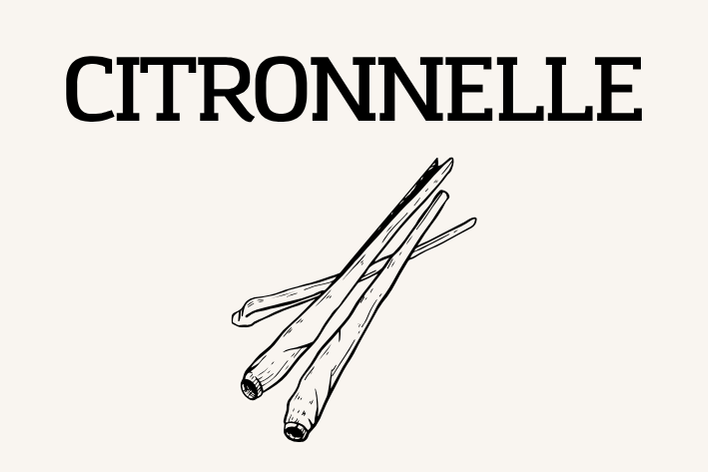 Citronnelle