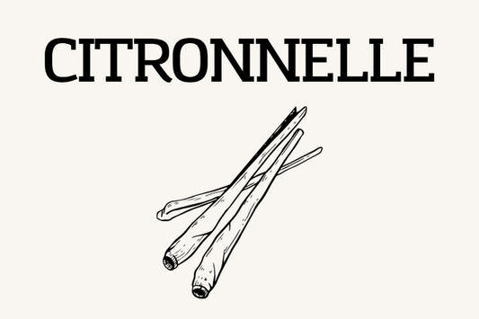 Citronnelle