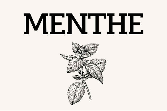 Menthe