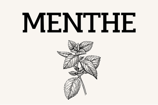 Menthe