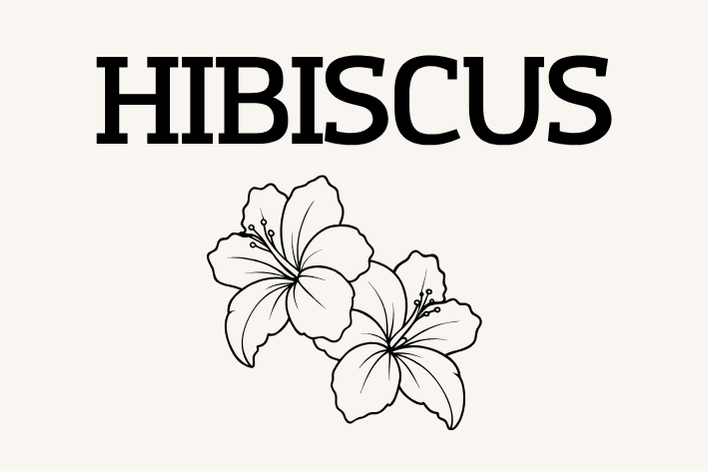 Hibiscus