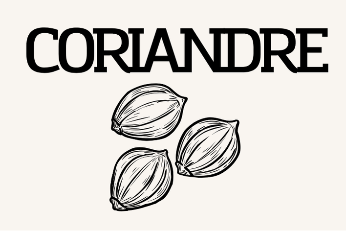 Graines coriandre