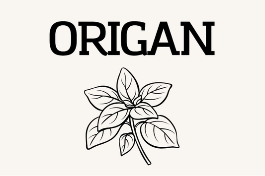 Origan