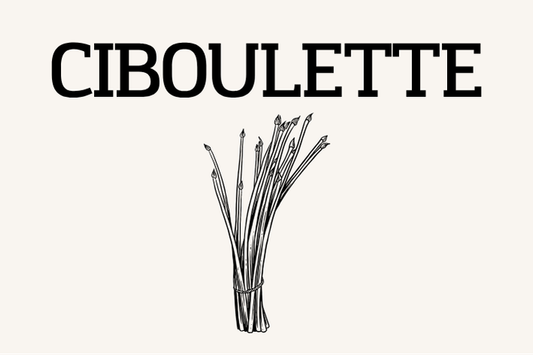 Ciboulette