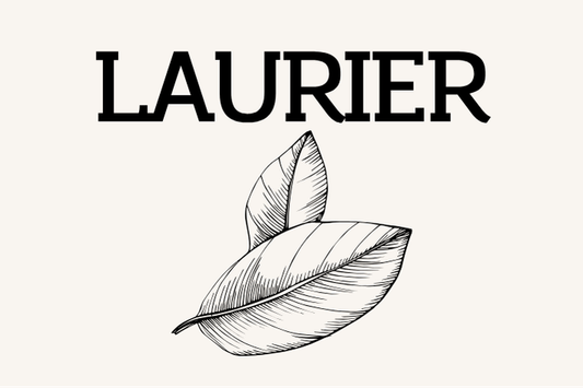 Laurier