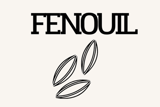 Fenouil