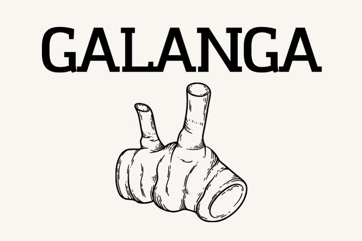 Galanga