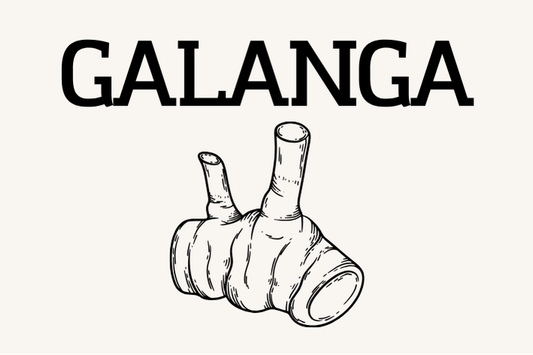 Galanga