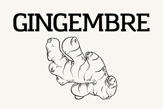 Gingembre