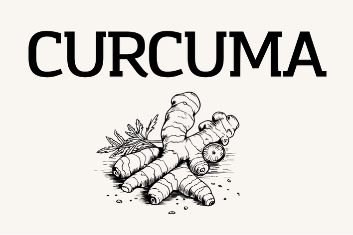 Curcuma