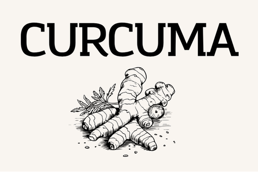 Curcuma