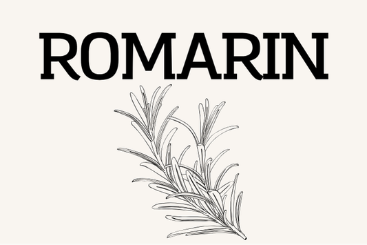 Romarin